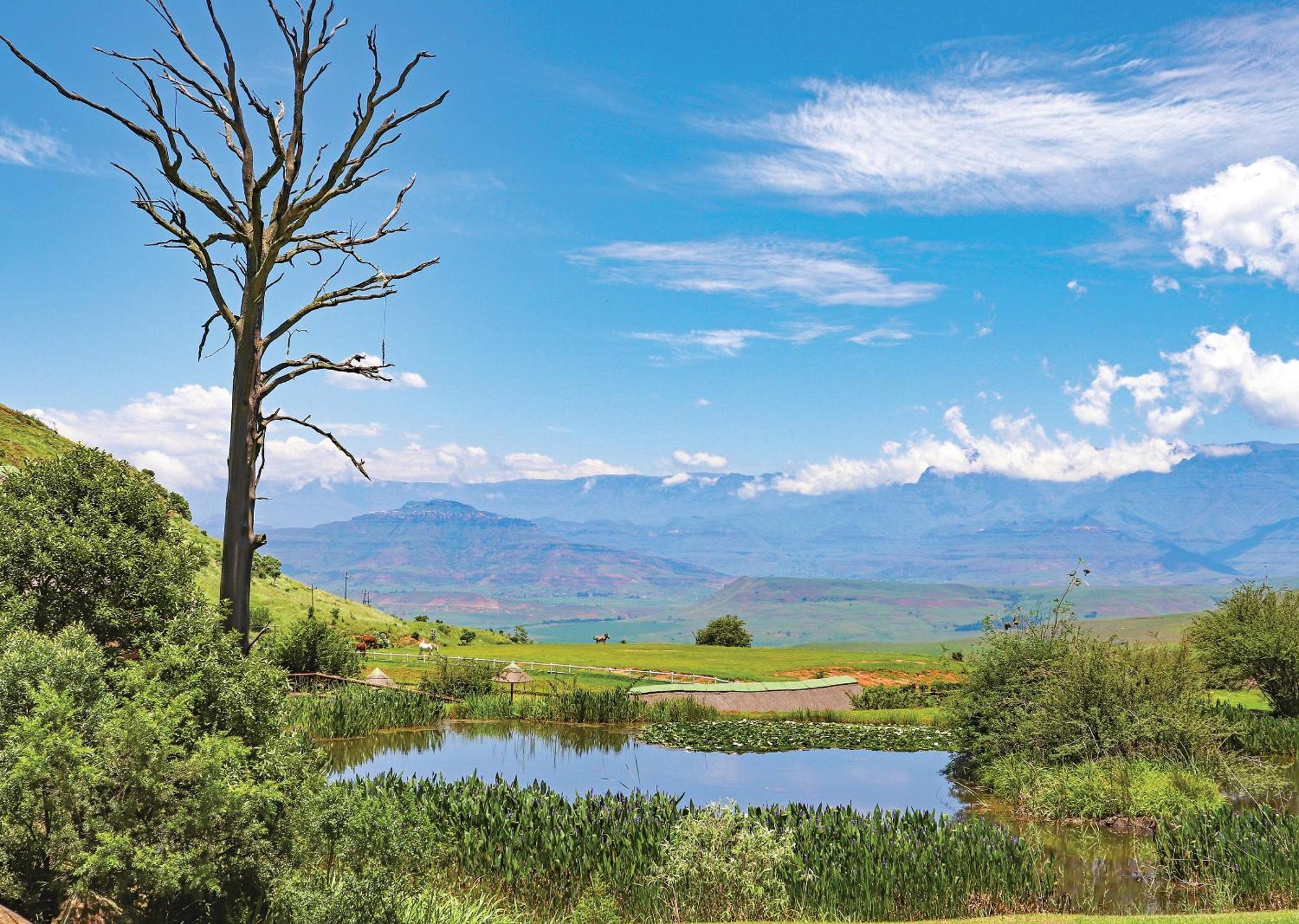 Little Switzerland Resort By Dream Resorts Ethels Drive Exteriör bild
