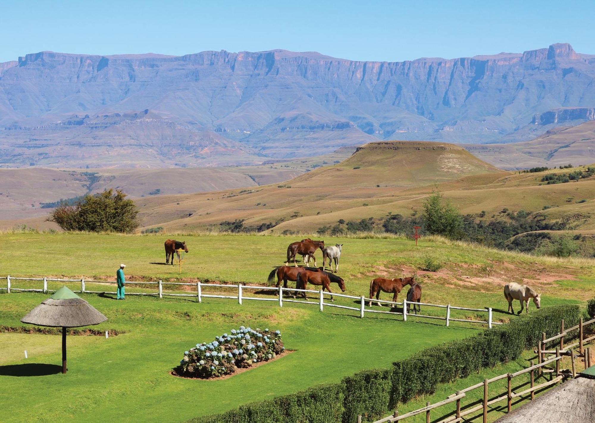 Little Switzerland Resort By Dream Resorts Ethels Drive Exteriör bild