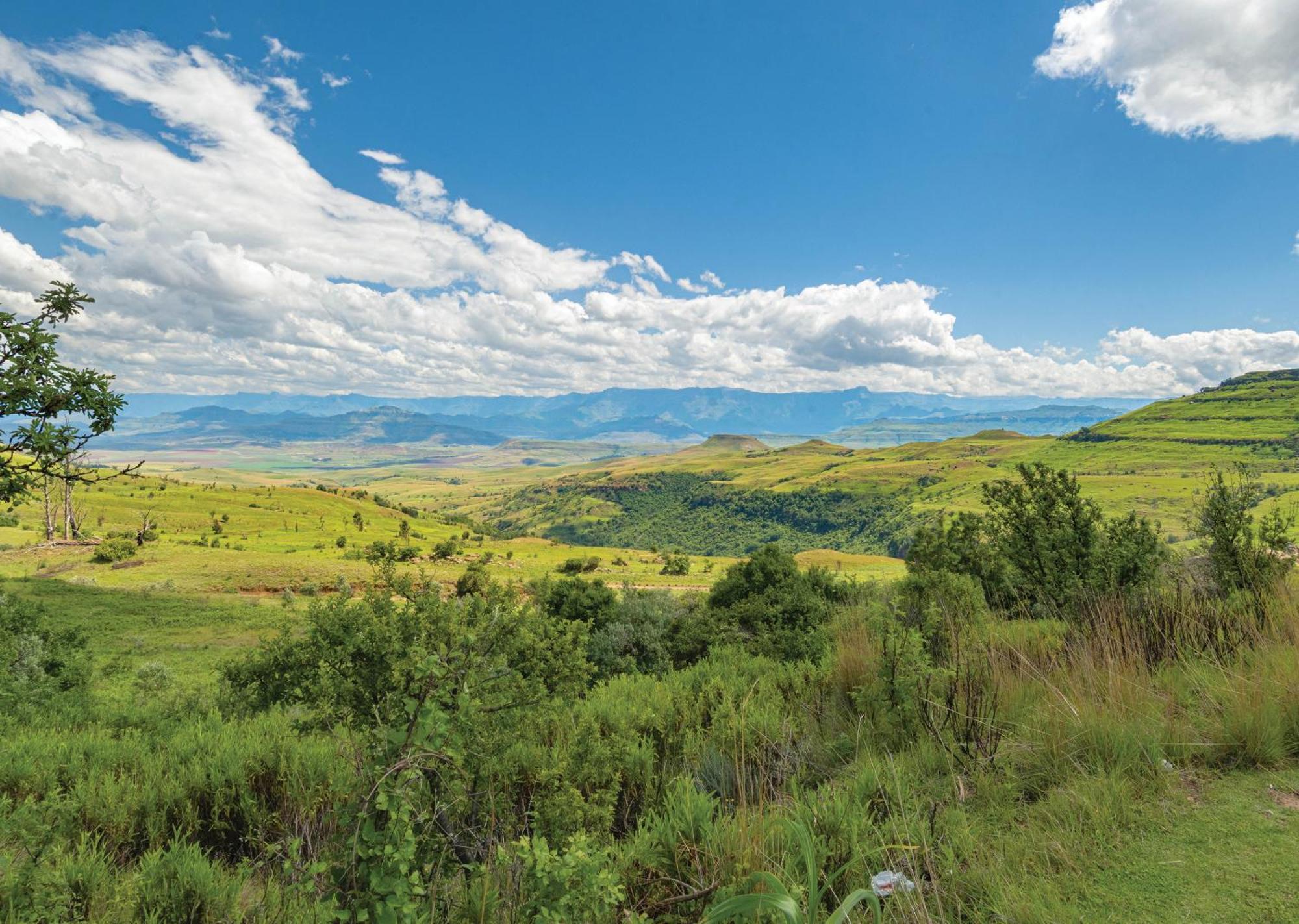 Little Switzerland Resort By Dream Resorts Ethels Drive Exteriör bild