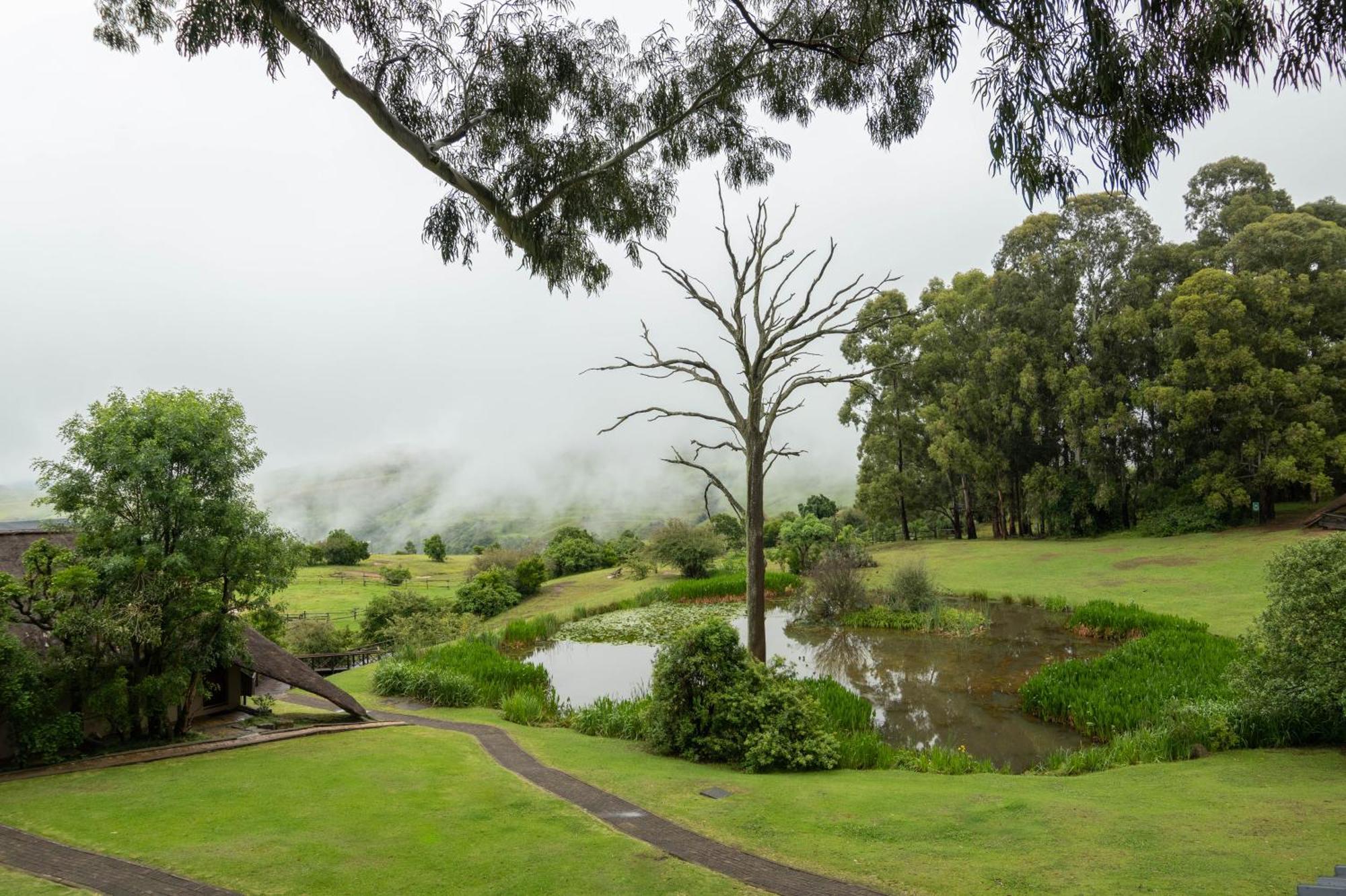 Little Switzerland Resort By Dream Resorts Ethels Drive Exteriör bild